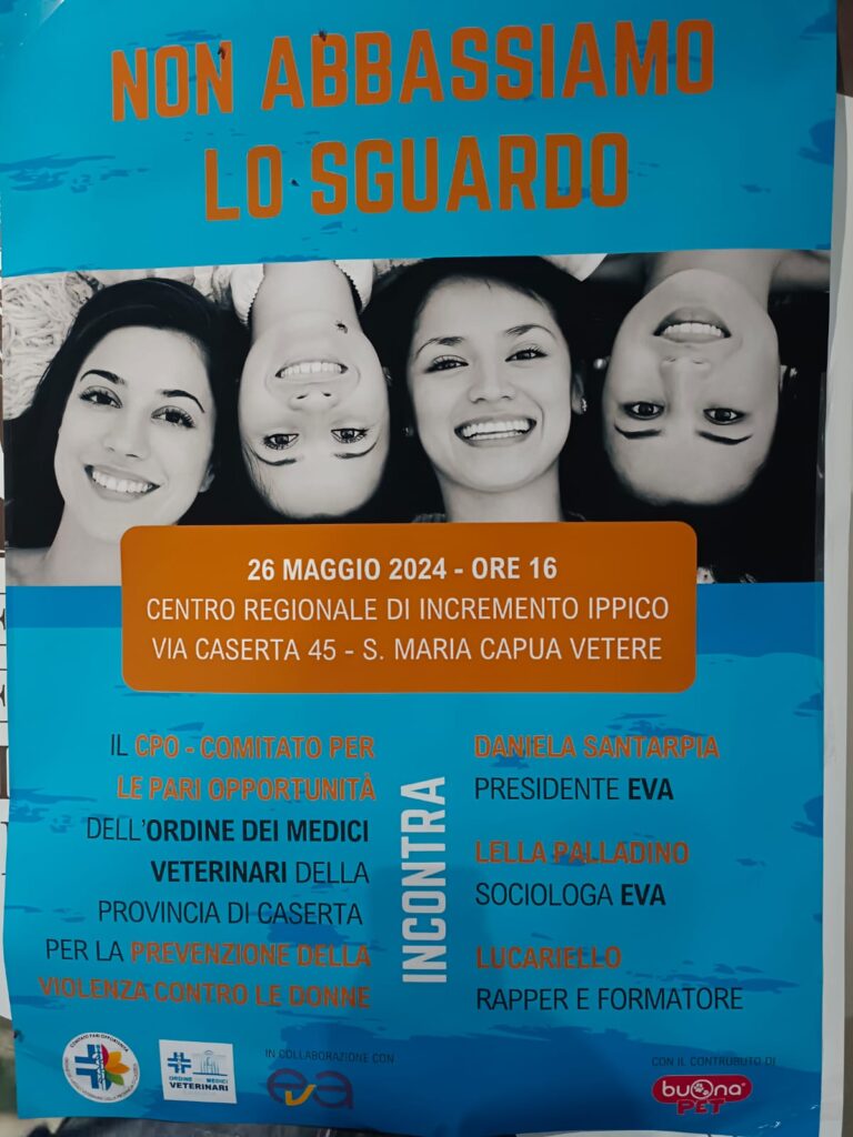 non abbassiamo lo sguardo - locadina evento